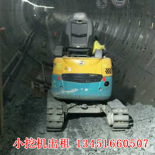 微型小挖機(jī)租賃的應(yīng)用廣泛，今天帶大家來(lái)了解一下！(圖1)